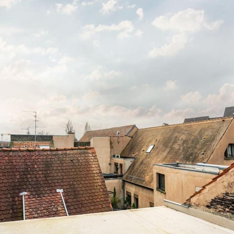 Le petit chalet du centre-ville - Appartamento con 1 Camera da Letto - 3