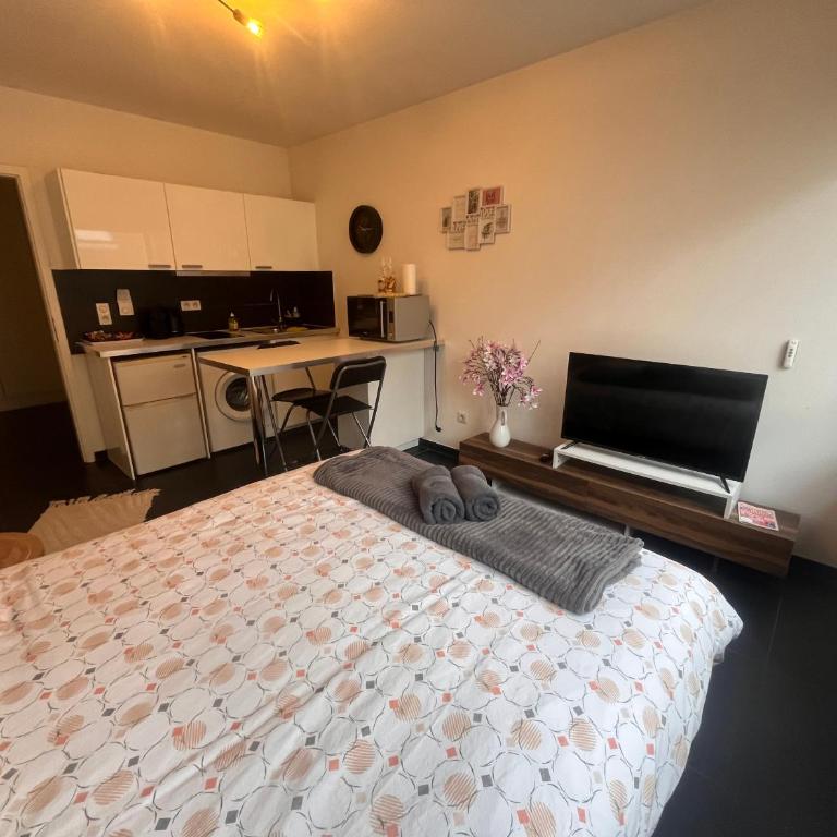 Nid douillet, cœur de Strasbourg, cathédrale à pied - Appartamento con 1 Camera da Letto - 1