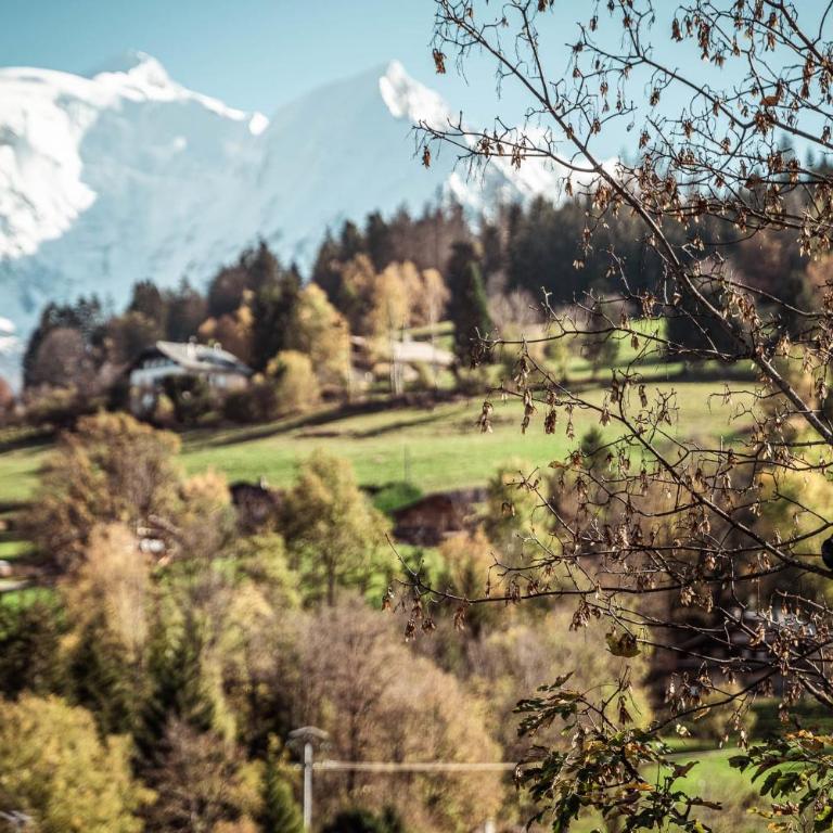 Appartement Margot - All the comforts with a view of Mont Blanc - Appartement - 27