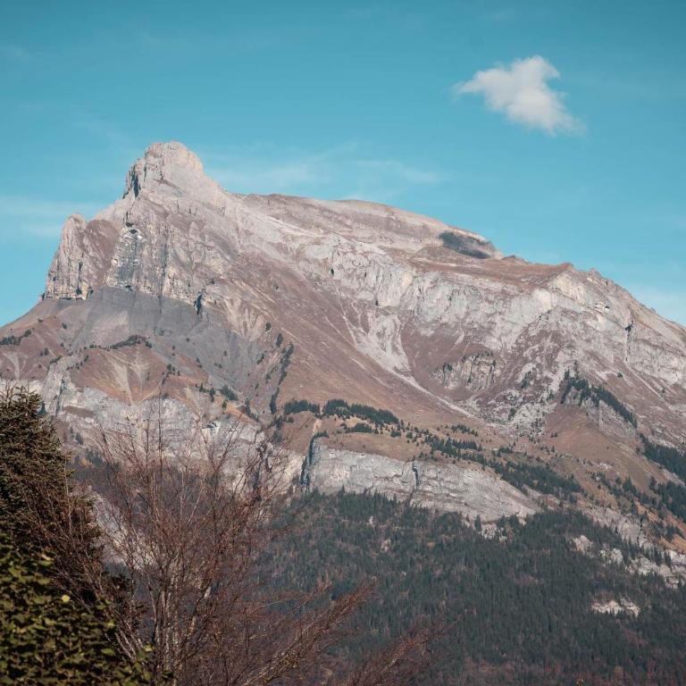 Appartement Margot - All the comforts with a view of Mont Blanc - Appartement - 30