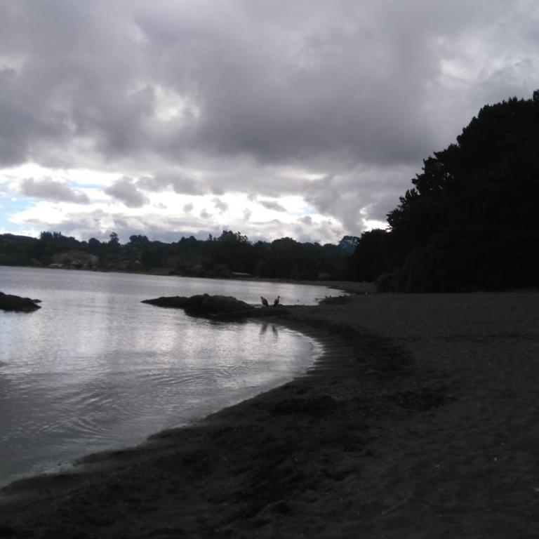 Casa Puerto Varas a pasos de la Playa - Casa Unifamiliar de 4 dormitorios - 42