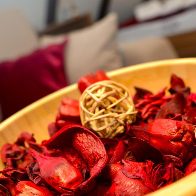 SKI MONTIS apartmani - Kopaonik centar - Apartman sa 1 Spavaćom Sobom - 6