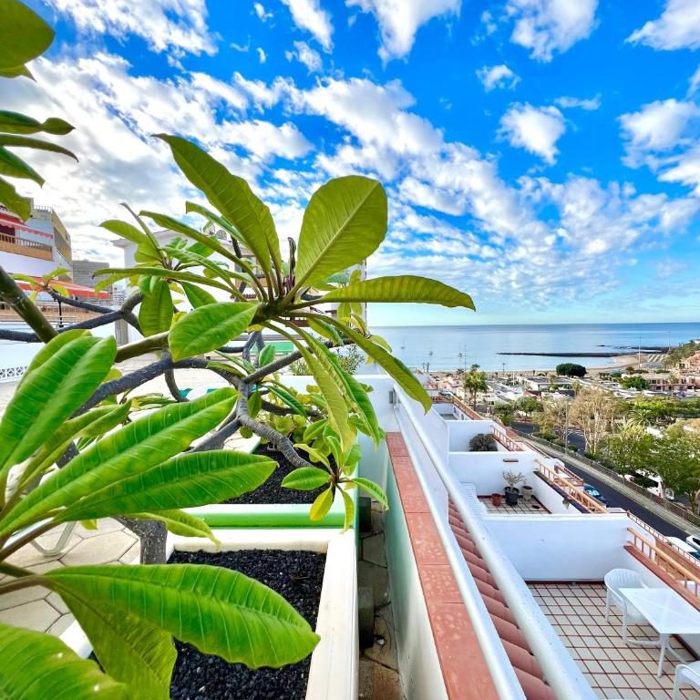 Las Vistas Dream - Apartamento de 2 dormitorios - 30