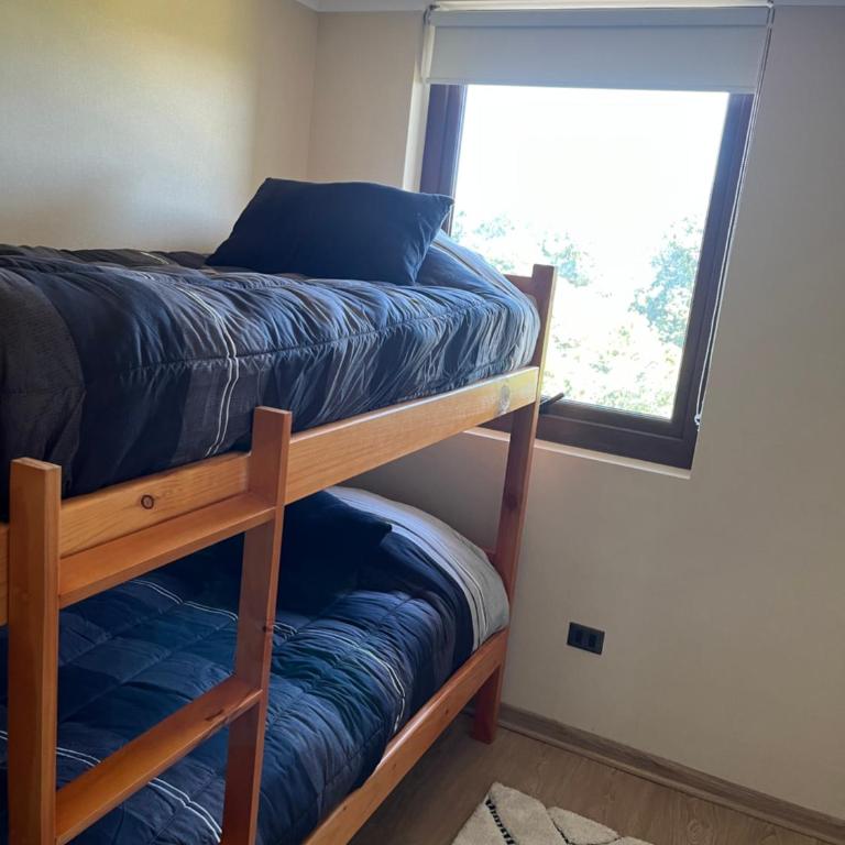 Costanera playa - Apartamento de 2 dormitorios - 17