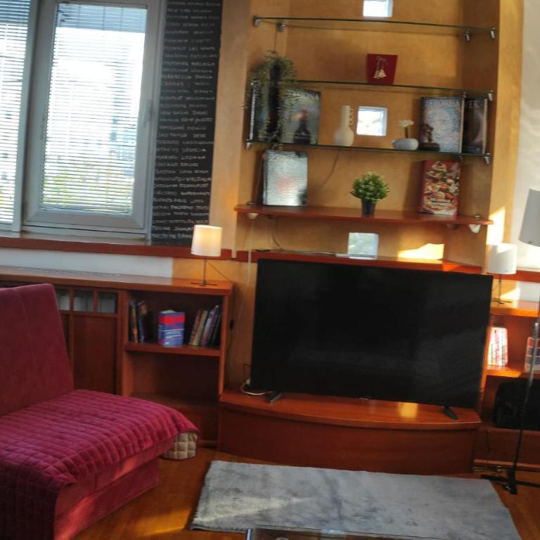 Arena Belgrade 2 - Apartman sa 3 Spavaće Sobe - 2