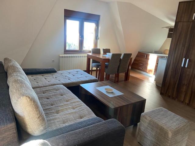 Apartmani vila Elena - Apartman sa 1 Spavaćom Sobom - 8