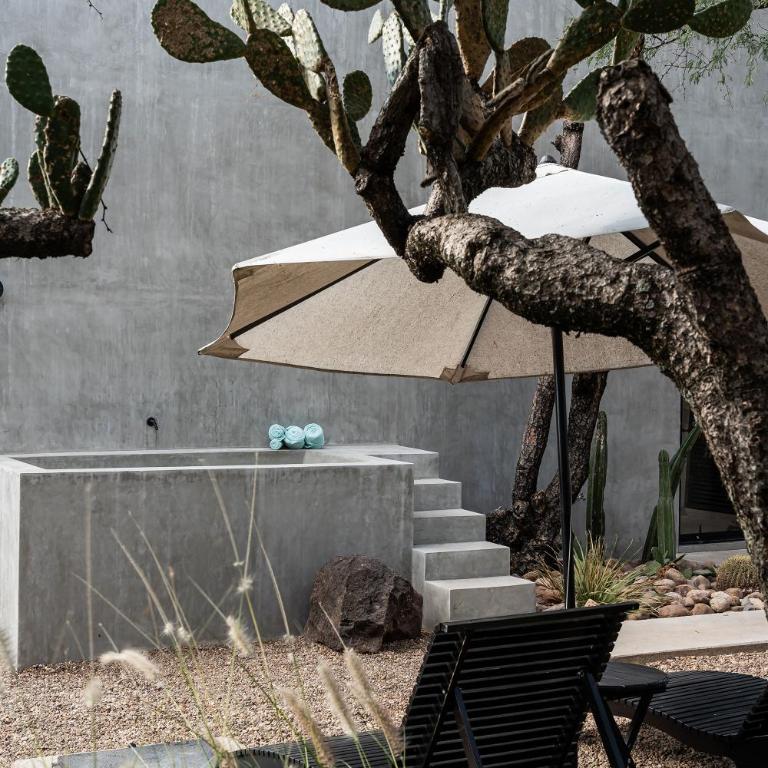 CASA DOM, Tranquil Retreat in San Miguel de Allende - One-Bedroom House - 22