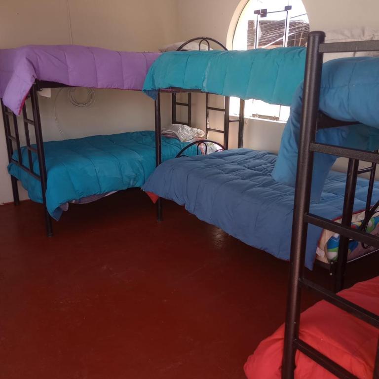 La casa de Lulu - Habitación Compartida Femenina - 1