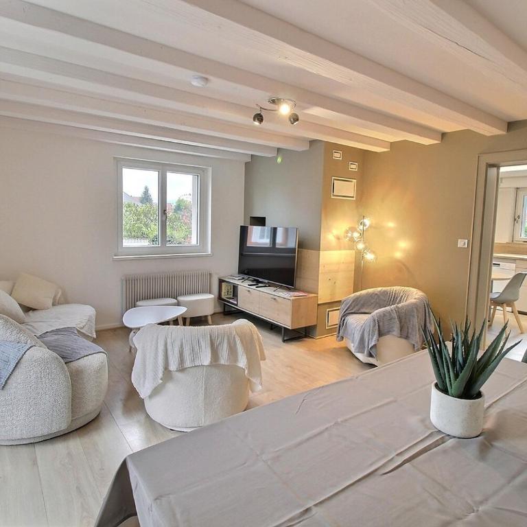 Maison spacieuse à Colmar, 5 chambres, terrasse, WiFi, parking gratuit - FR-1-722-12 - Casa Vacanze - 6