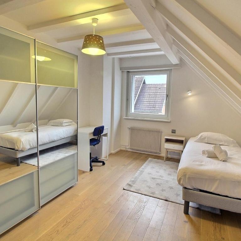 Maison spacieuse à Colmar, 5 chambres, terrasse, WiFi, parking gratuit - FR-1-722-12 - Casa Vacanze - 19