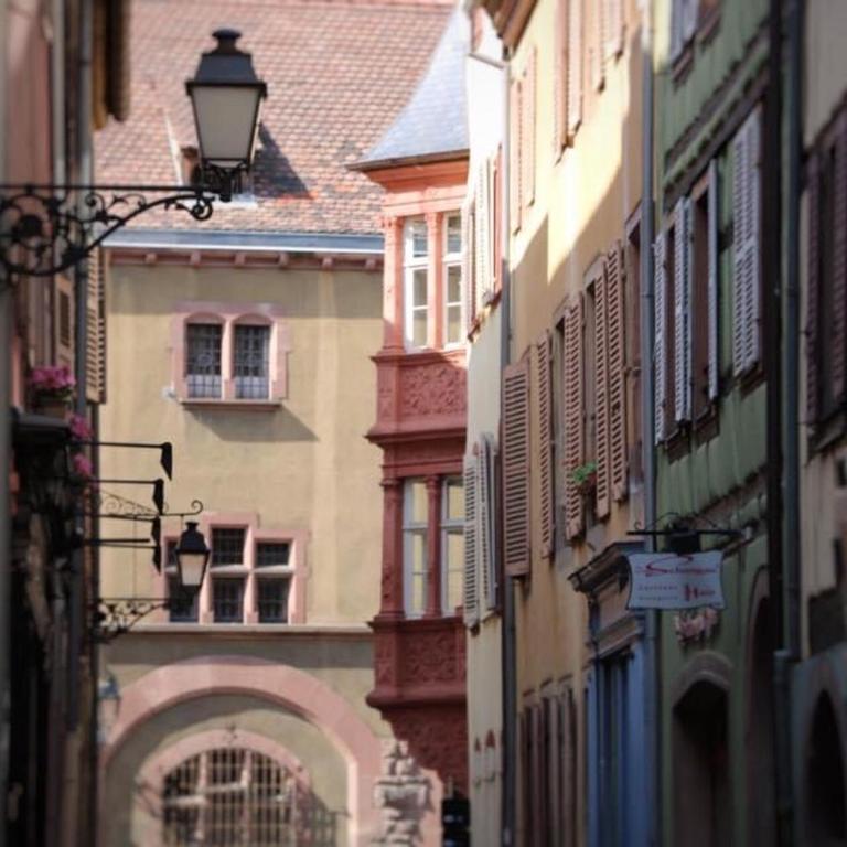 Maison spacieuse à Colmar, 5 chambres, terrasse, WiFi, parking gratuit - FR-1-722-12 - Casa Vacanze - 31