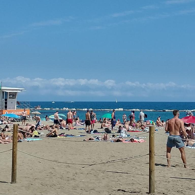 Barceloneta Beach Apartments - One-Bedroom Apartment - 45