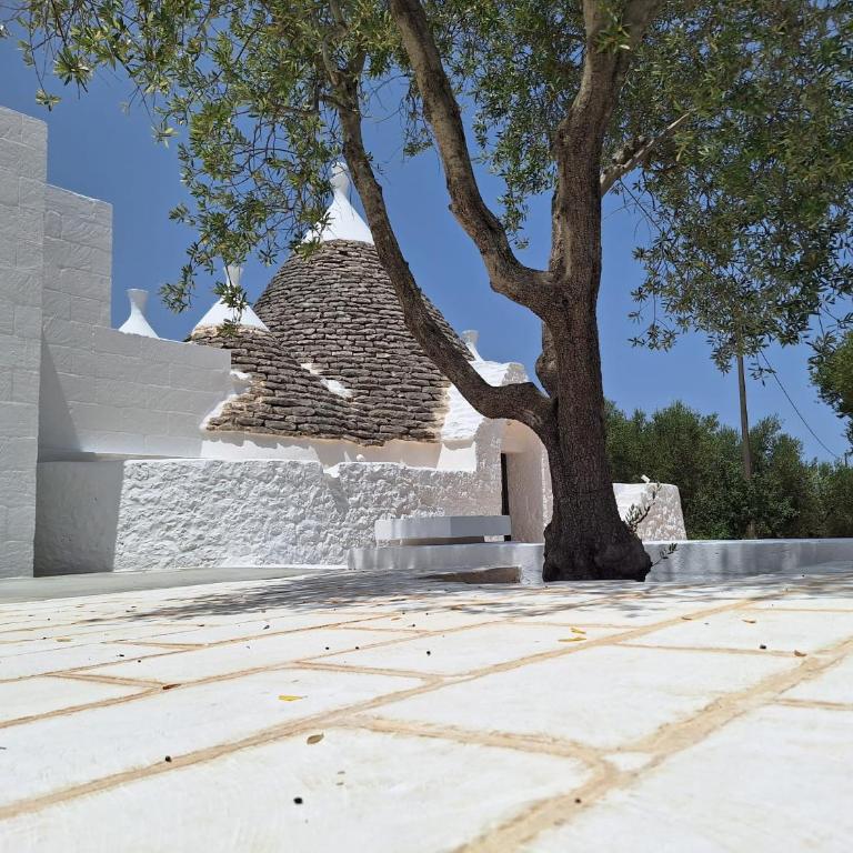 Trulli au milieu d'un champ d'oliviers avec piscine - Villa con 3 Camere da Letto - 28