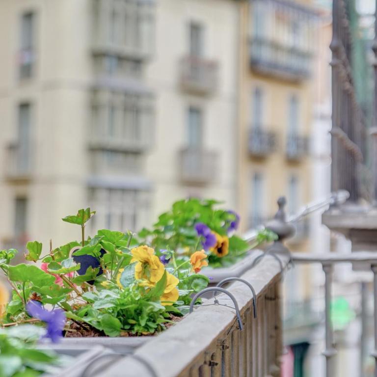 Heart of Pamplona Apartments IV by clabao - Deluxe Apartment - 17