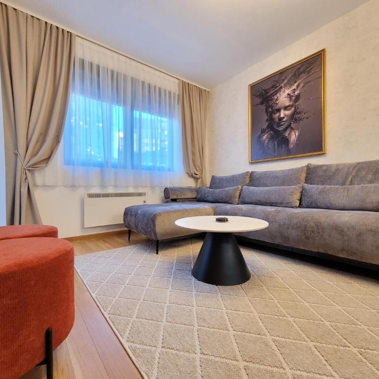 Royal Residence Zlatibor - Deluks Apartman s 1 Spavaćom Sobom i Pogledom na Vrt - 21
