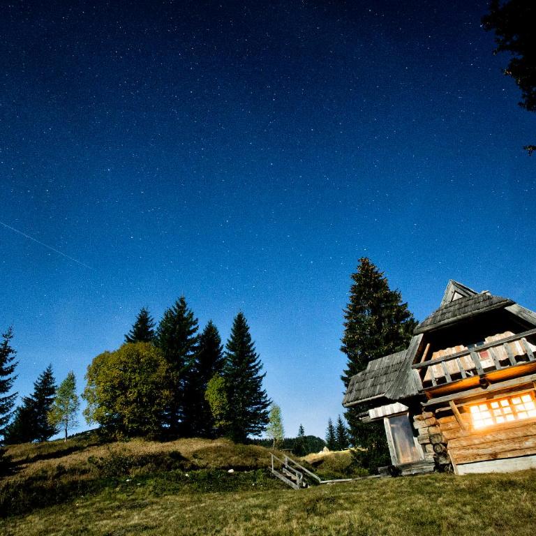 Lodge Nadgora - Three-Bedroom Villa - 10