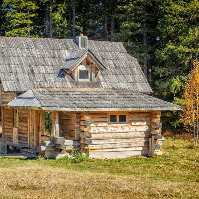 Lodge Nadgora - Superior Villa - 2