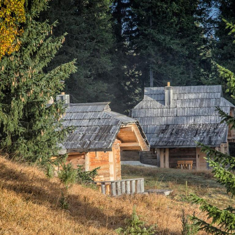 Lodge Nadgora - Vacation Home - 2