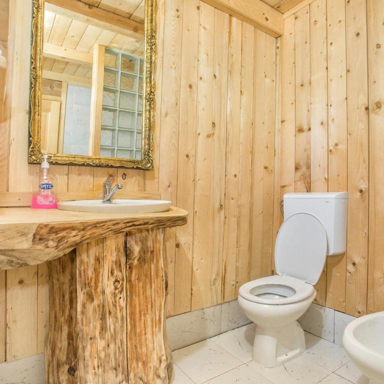 Lodge Nadgora - Vacation Home - 10