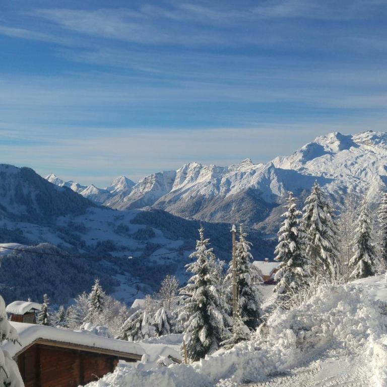CHALET SPA BELLE VUE 500 m des pistes - Chalet - 3