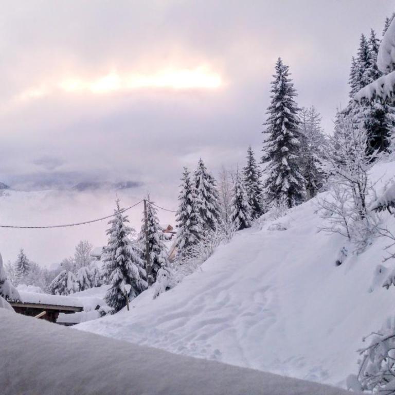 CHALET SPA BELLE VUE 500 m des pistes - Chalet - 4