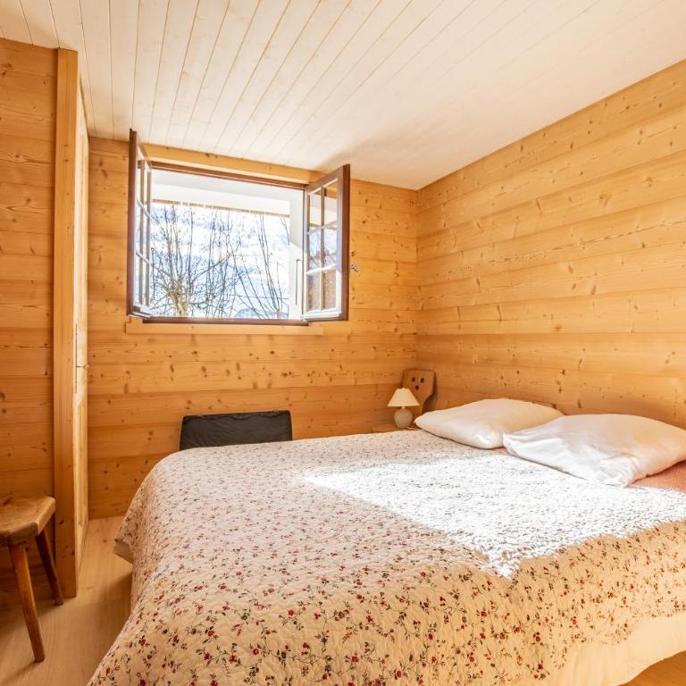 CHALET SPA BELLE VUE 500 m des pistes - Chalet - 28