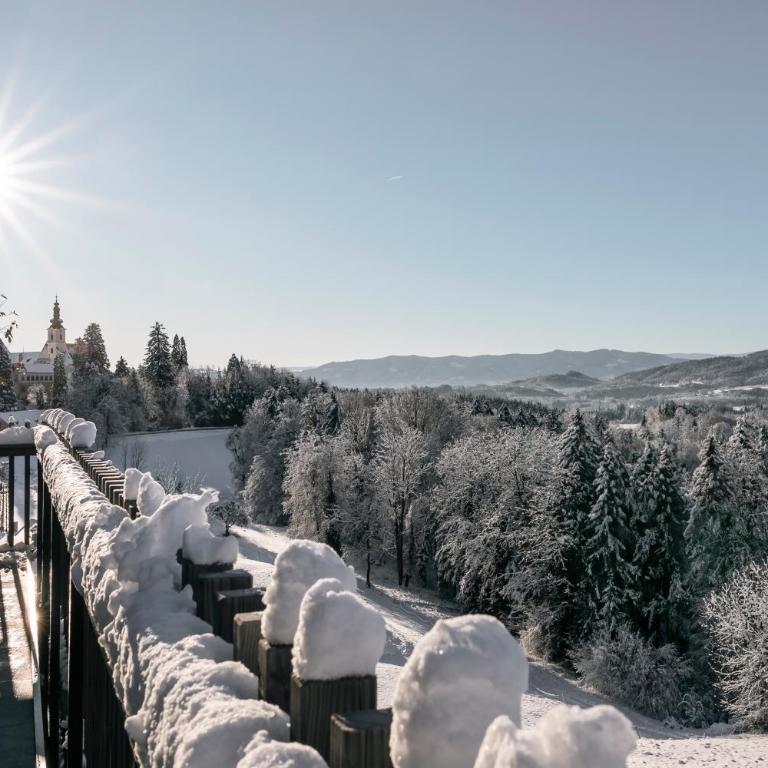 Boutiquehotel DAS ZEITWERT - Suite mit Terrasse - 7