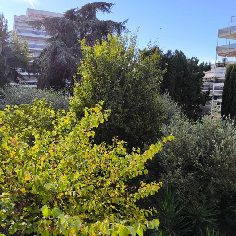 SELI 2 pièces CLIMATISÉ CLASSÉ 52 M2 terrasse 20m2 PLAGES PISCINE ANTIBES avec PARKING PRIVATIF - One-Bedroom Apartment - 43