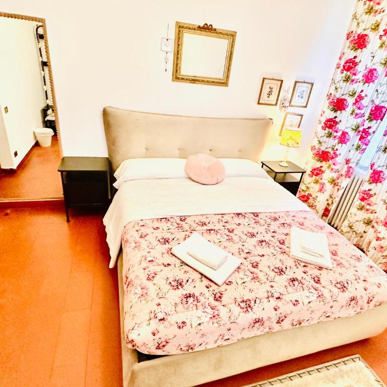 Cisanello Guest House - Double Room with Private External Bathroom - 1