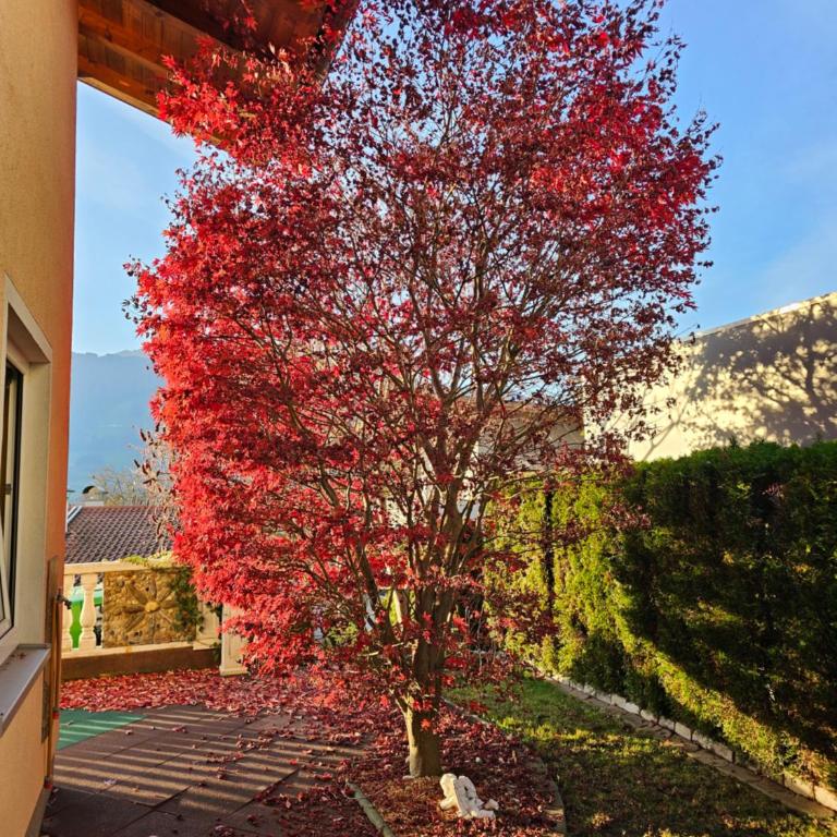 Zilleralps Fewo - Apartment mit Blick auf die Berge - 6