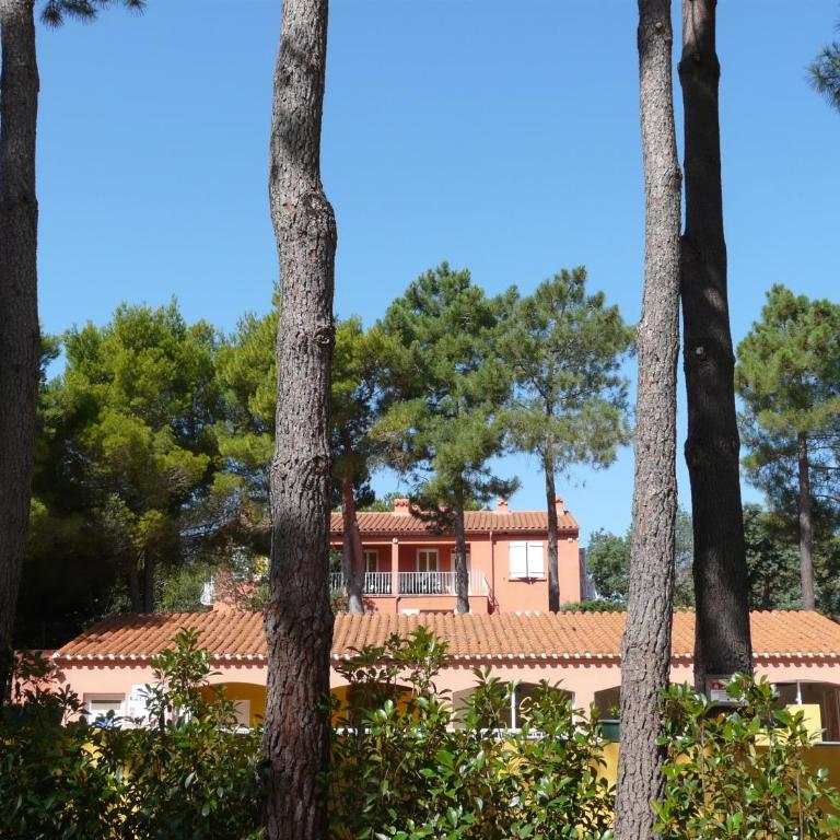 Domaine Des Mimosas - Appartement 1 Chambre - 4