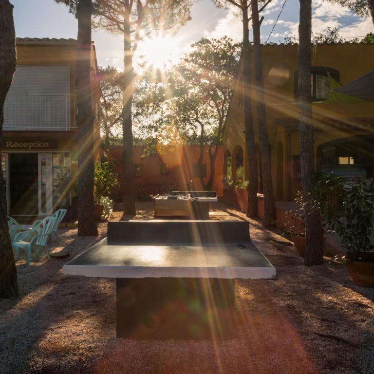 Domaine Des Mimosas - Appartement 1 Chambre - 3