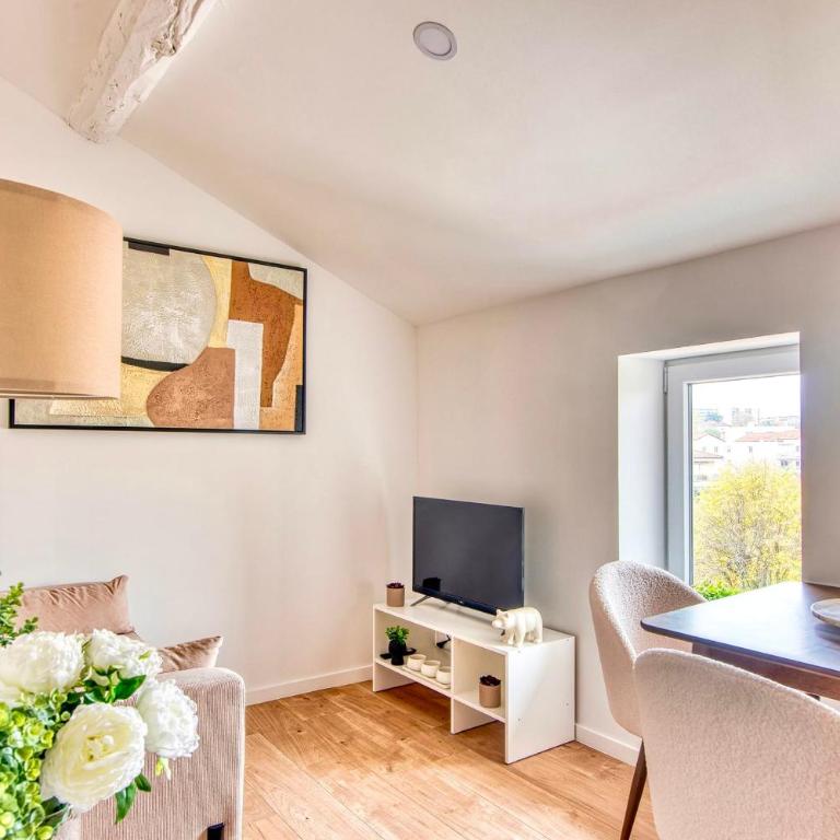 Le Cocon - Appart climatisé - cœur de Lyon 5ème - Appartement - 17