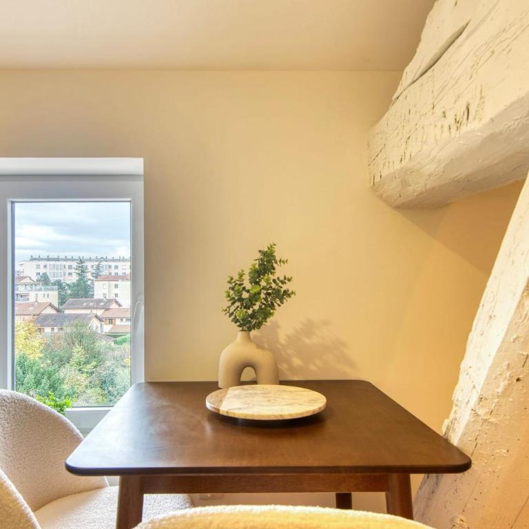 Le Cocon - Appart climatisé - cœur de Lyon 5ème - Appartement - 18