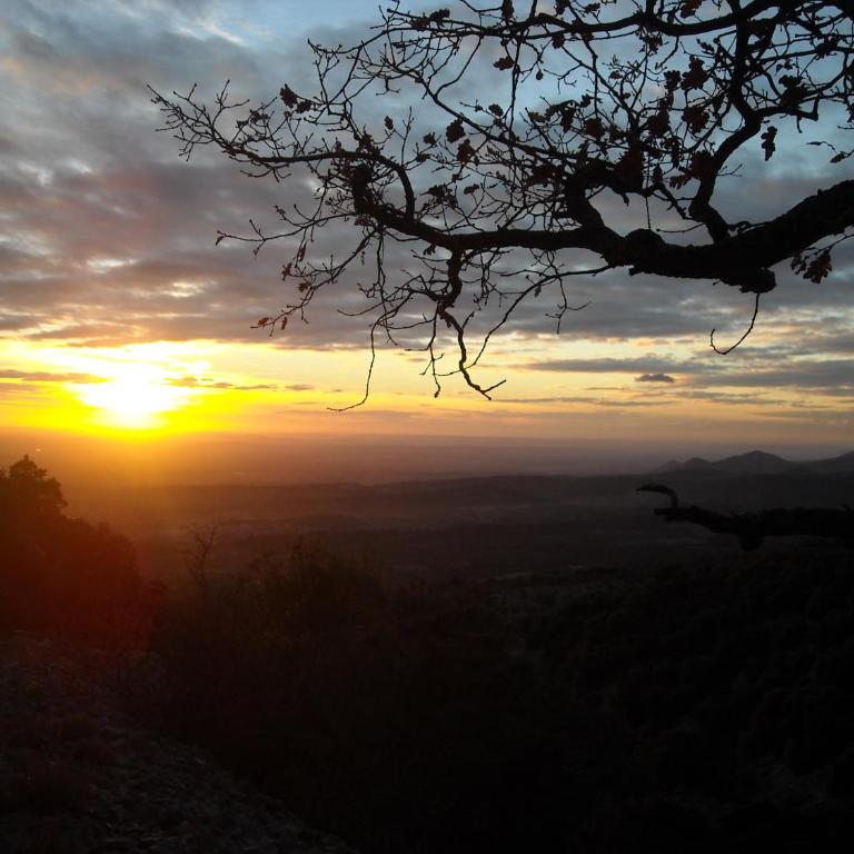 Les Gites du Mont Ventoux - Casa con 2 Camere da Letto - 15