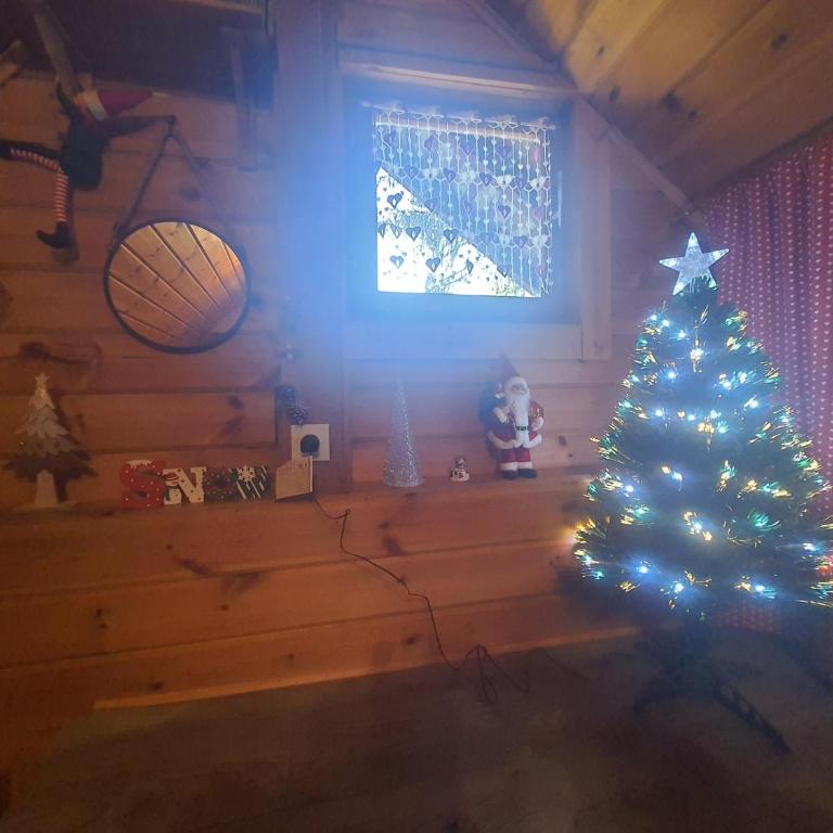 Chalet savoyard "le Sapinet" - Chalet 1 Chambre - 12