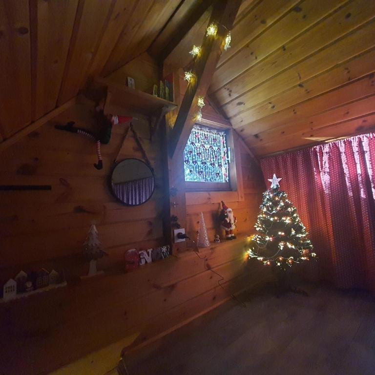 Chalet savoyard "le Sapinet" - Chalet 1 Chambre - 13