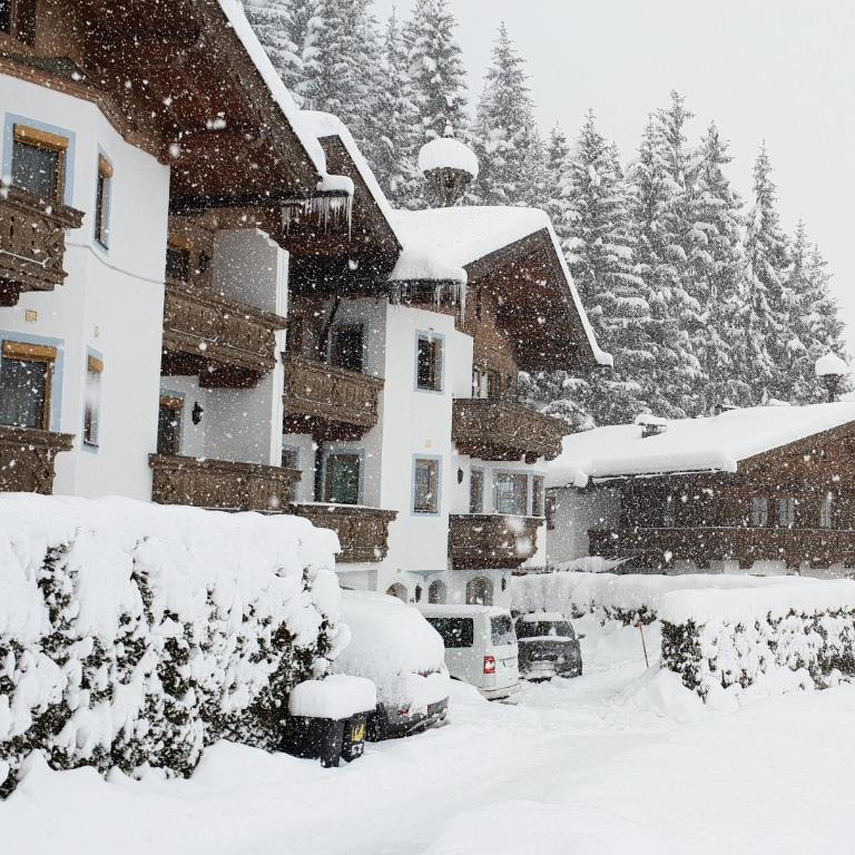 Chalet Bergzauber by PiaundDirk - Ferienhaus - 1