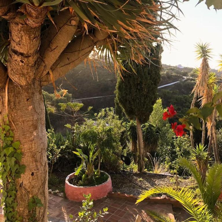 Little Paradise in Fuente Conejo - Villa de 3 dormitorios - 10