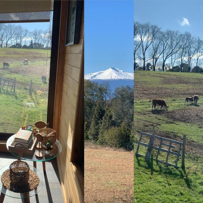 Hermoso alojamiento en el lago con piscina y playa en Panguipulli - Casa de 6 dormitorios - 69