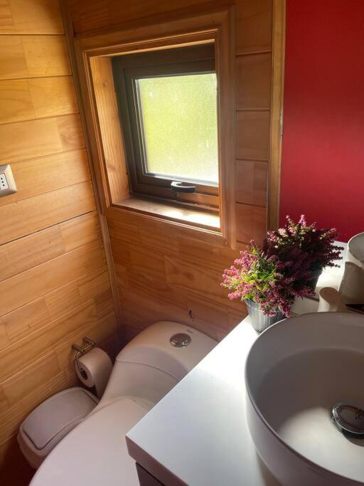 Hermoso alojamiento en el lago con piscina y playa en Panguipulli - Casa de 6 dormitorios - 83
