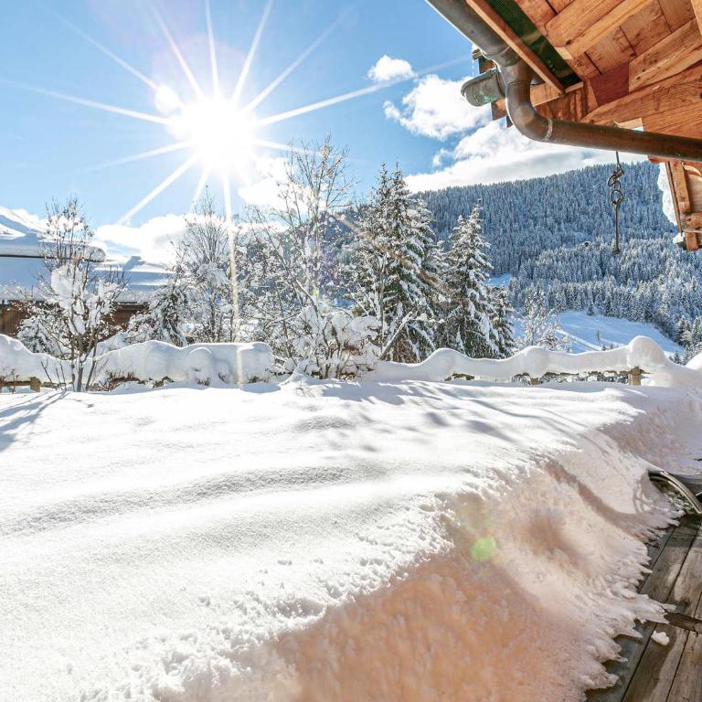 Chalet 4 Étoiles 13 Pers. à La Clusaz - Grande Terrasse, Garage, WIFI, Arrêt Skibus à Proximité - FR-1-437-81 - Chalé (13 adultos) - 16