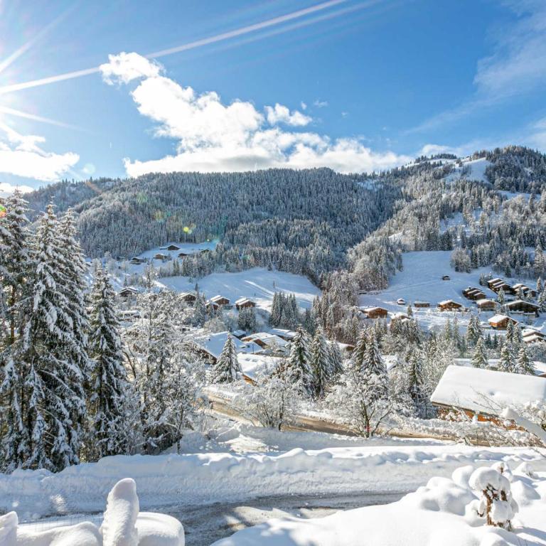 Chalet 4 Étoiles 13 Pers. à La Clusaz - Grande Terrasse, Garage, WIFI, Arrêt Skibus à Proximité - FR-1-437-81 - Chalé (13 adultos) - 18