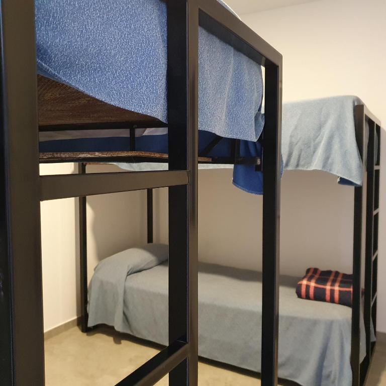 Posada Waikiki - Habitación Compartida Femenina - 1