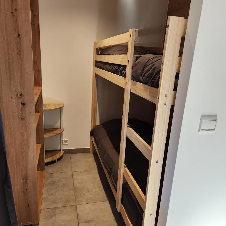 Nouveau !LE CHOUCAS appartements au centre de Chatel avec parking couvert - Appartement 2 Chambres - 6