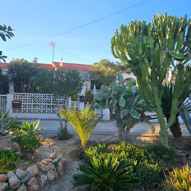 Holiday apartments - Two-Bedroom Apartment - 11