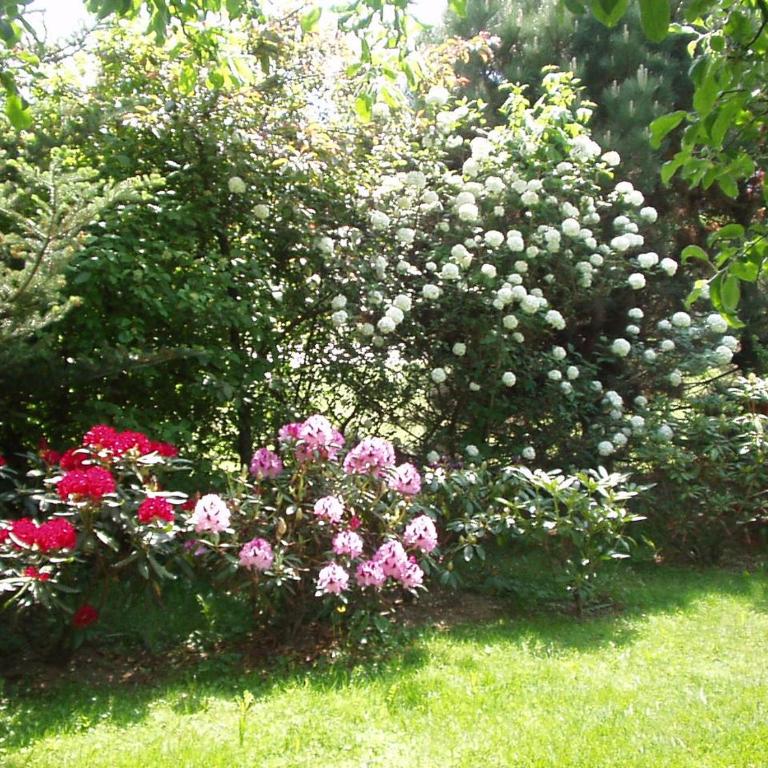 Pension & Apartments Ertl - Double Room - 4
