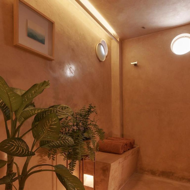 Beige Jardin Conzatti Centro Diseno AC - Apartment - 33