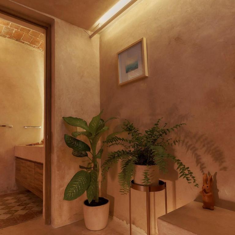 Beige Jardin Conzatti Centro Diseno AC - Apartment - 35