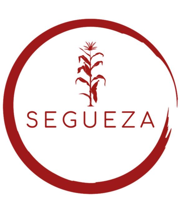 Suite Segueza - Apartamento de 1 dormitorio - 13